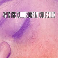 42 In the Clouds Dream Collection