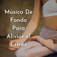 Música de Fondo para Aliviar el Estrés