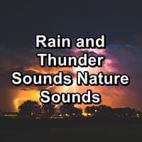 Medium Rain Showers with Sleeping Music