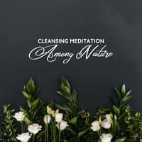 Cleansing Meditation Among Nature: Relaxing Ambient Music for Meditation and Deep Breath