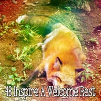 48 Inspire a Welcome Rest