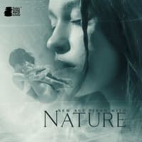 New Age Piano with Nature: Beautiful Instrumental Music with Sounds of Bubbling Brook and Singing Birds