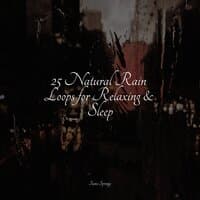 25 Natural Rain Loops for Relaxing & Sleep