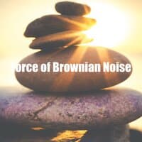 Force of Brownian Noise