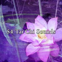 54 Tai Chi Sounds