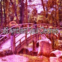 68 Ambient Soul Cleaners