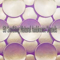 59 Soothing Natural Ambience Sounds