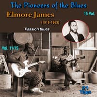 The Pioneers of The Blues in 15 Vol