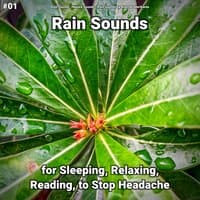 #01 Rain Sounds for Sleeping, Relaxing, Reading, to Stop Headache