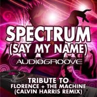 Spectrum (Say My Name)