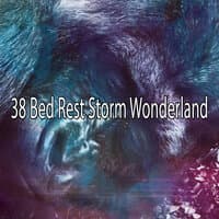 38 Bed Rest Storm Wonderland