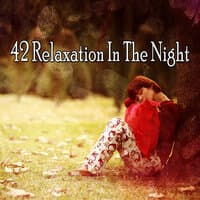 42 Relaxation In The Night