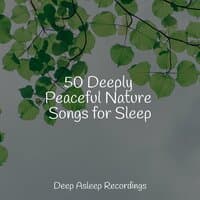 50 Deeply Peaceful Nature Songs for Sleep