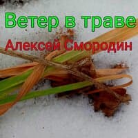 Ветер в траве