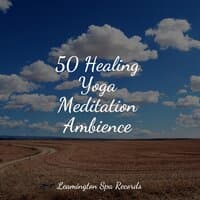 50 Healing Yoga Meditation Ambience