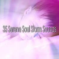 35 Serene Soul Storm Sounds