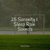 25 Serenity & Sleep Rain Sounds