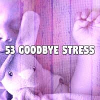 53 Goodbye Stress