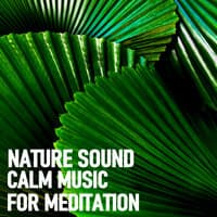 Nature Sound: Calm Music For Meditation