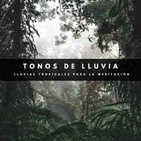 Tonos De Lluvia:  Lluvias Tropicales Para La Meditación