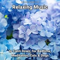 Relaxing Music to Calm Down, for Bedtime, Meditation, Cats & Dogs