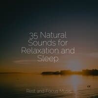 35 Natural Sounds for Relaxation and Sleep