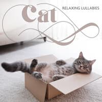 Cat Relaxing Lullabies