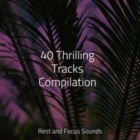 40 Thrilling Tracks Compilation