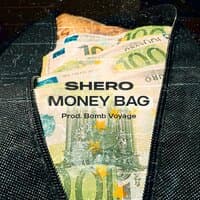 Money Bag