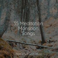 35 Meditation Monsoon Songs