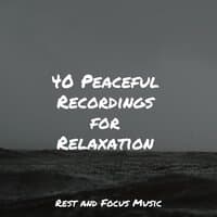 40 Peaceful Recordings for Relaxation