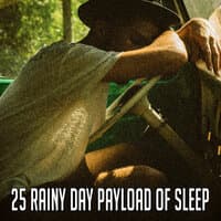 25 Rainy Day Payload of Sleep