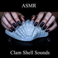 ASMR Clam Shell Sounds