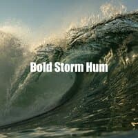 Bold Storm Hum