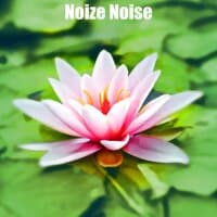 Noize Noise