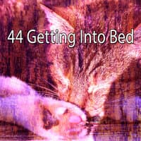 44 Getting Into Bed