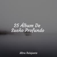 25 Álbum De Sueño Profundo