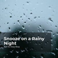 Snooze on a Rainy Night