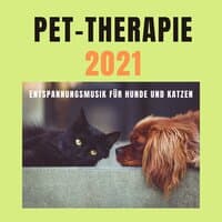 Pet-Therapie 2021: Entspannungsmusik für Hunde und Katzen