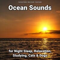 Ocean Sounds for Night Sleep, Relaxation, Studying, Cats & Dogs