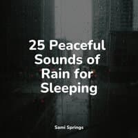 25 Peaceful Sounds of Rain for Sleeping