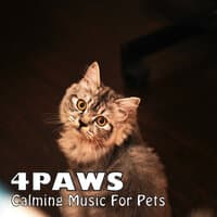 4PAWS: Calming Music For Pets