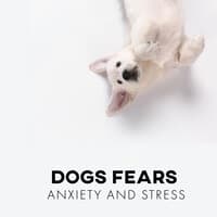 Dogs Fears, Anxiety and Stress: Best Music Therapy for Animals