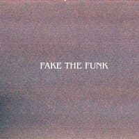 Fake the Funk