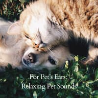 For Pet’s Ears: Relaxing Pet Sounds