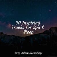 30 Inspiring Tracks for Spa & Sleep