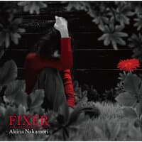 Fixer -While The Women Are Sleeping-