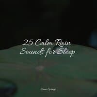 25 Calm Rain Sounds for Sleep