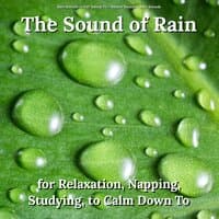 The Sound of Rain for Relaxation, Napping, Studying, to Calm Down To