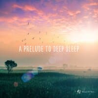 Clinical Supervision Music “ A Prelude to Deep Sleep ”